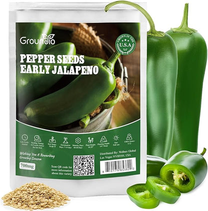 Groundio Jalapeno Pepper Seeds for Planting, Non-GMO Heirloom Vegetable Seeds for Outdoor Home Garden, Easy to Grow, Perfect for Salsa & Hot Sauce