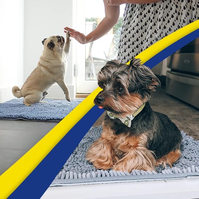 Muddy Mat® | Super Water Absorbent Door Mat Indoor, Microfiber Quick Dry Chenille Entryway Rug, Slip Resistant Front Door Mat, Indoor Mats for Entryway, Machine Washable Pet Rug, Baby Blue 24" x 44"
