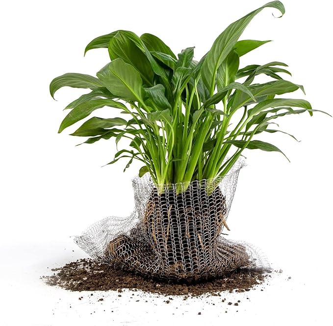 5 Pcs 5 Gallon Root Guard Gopher Proof Wire Basket Mole and Vole Mesh Wire Baskets Underground Stainless Steel Wire for Plants Root Protection