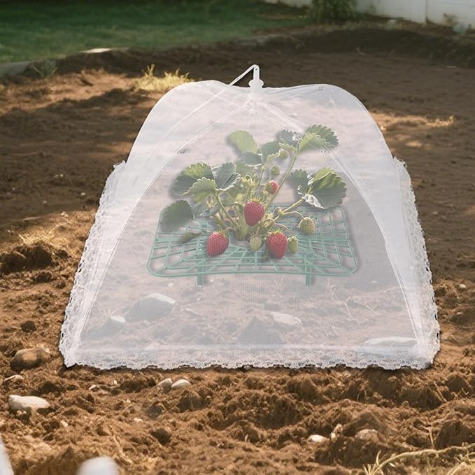 5 Sets Strawberry Supports with Plant Protectors Set, Strawberry Growing Racks Sets with Iron Plant Nails and Storage Bag Strawberry Planting Stand for Garden Vegetables