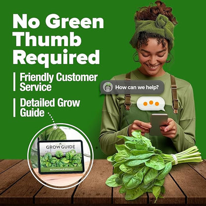 HOME GROWN Bloomsdale Spinach Seeds - 2 Bulk Packs (Spinacia oleracea) – 704 High Germination Heirloom Spinach Seeds for Planting – Leafy Green Lettuce – for Home Gardens