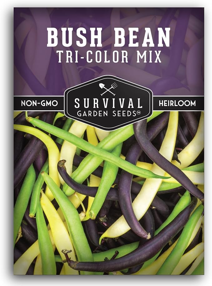 Tri Color Blend Bush Bean Seeds for Planting - Mix of Green, Yellow Wax, & Purple Beans with Stringless Pods - 3 Non-GMO Heirloom High Yield Varieties - Survival Garden Seeds (1 Pack)