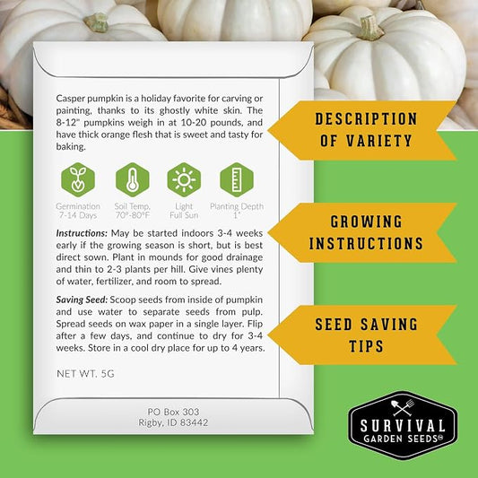 Pumpkin Seeds 4 Variety Pack for Planting – Small Sugar, Jack O’ Lantern, Fairytale & Casper Heirloom Non-GMO Pumpkin Seed Collection | Survival Garden Seeds