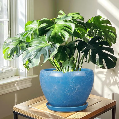 10 Inch Planter Pot - Ceramic Pots for Plants with Drainage Hole and Saucer, Round Large Flower Pot for Indoor Plants, Blue