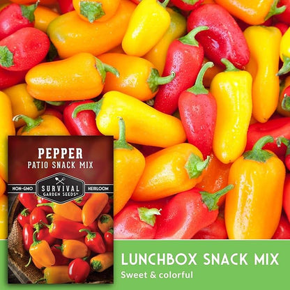 Patio Snack Mix Mini Sweet Pepper Seeds for Planting | Compact Lunchbox-Style Heirloom Variety – Non-GMO Container Garden Peppers – Survival Garden Seeds (1 Pack)