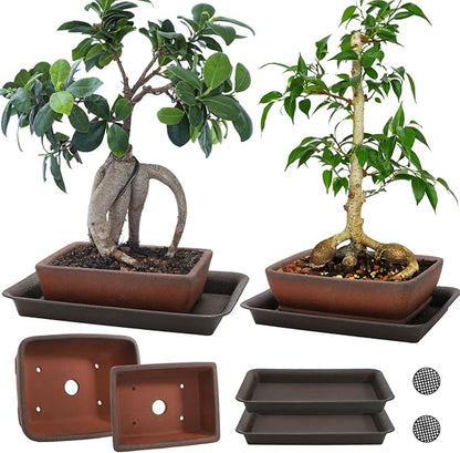 2 Pack Ceramic Bonsai Pots with Drainage Tray, 6" and 7" Unglazed Rectangle Bonsai Tree Planters, Bonsai Training Pots, Succulent Cactus Planter with Drainage Hole for Outdoor Indoor, Brown