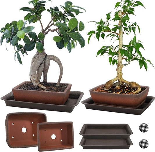 2 Pack Ceramic Bonsai Pots with Drainage Tray, 6" and 7" Unglazed Rectangle Bonsai Tree Planters, Bonsai Training Pots, Succulent Cactus Planter with Drainage Hole for Outdoor Indoor, Brown