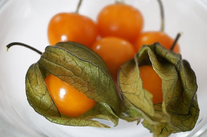 Seeds Strawberry Physalis Cape Gooseberry Goldenberry Ground Cherry Orange Non GMO Vegetable for Planting