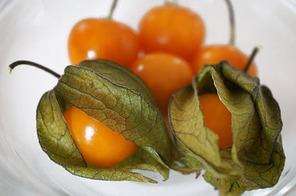Seeds Strawberry Physalis Cape Gooseberry Goldenberry Ground Cherry Orange Non GMO Vegetable for Planting