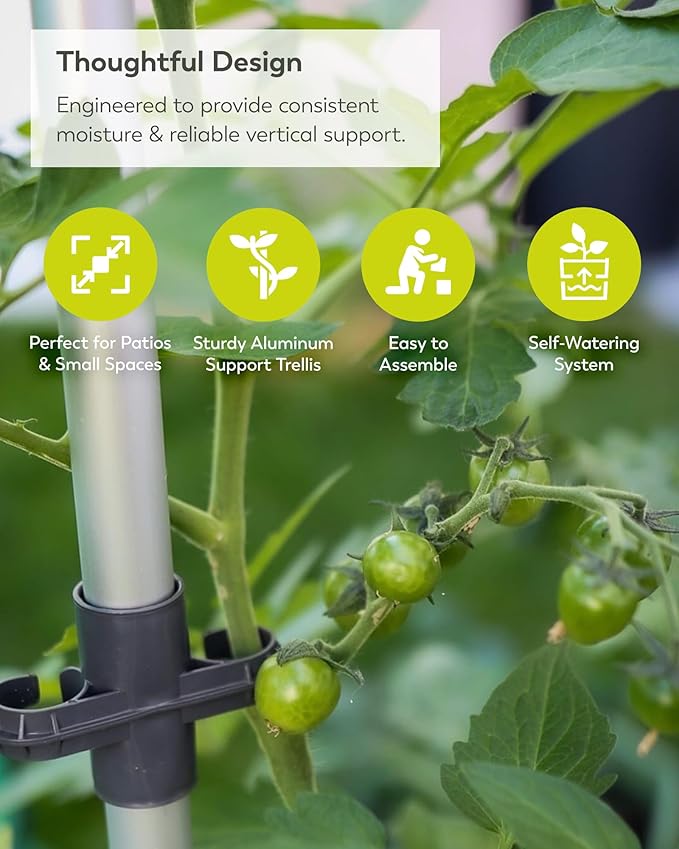 BUZZY Seeds Self-Watering Vertical Tomato Planter with Trellis – 1.2 Gal Reservoir, Large Capacity Planter for Tomatoes & Climbing Plants (Green)