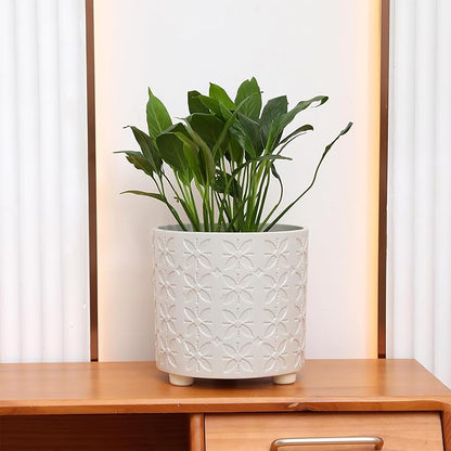 8 Inch Planter, Plant Pots with Drainage Hole, Modern Cylinder Flowerpot - Indoor & Outdoor Plants for Home & Office,White