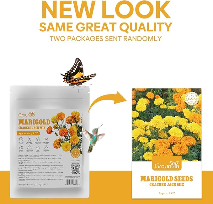 Groundio Marigold Seeds, 1 OZ Over 9500+ Seed, Cracker Jack in Mix Color for Planting Indoor & Outdoor, Attract Pollinators, Non-GMO | Heirloom | USDA Zone 2-11