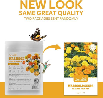 Groundio Marigold Seeds, 1 OZ Over 9500+ Seed, Cracker Jack in Mix Color for Planting Indoor & Outdoor, Attract Pollinators, Non-GMO | Heirloom | USDA Zone 2-11