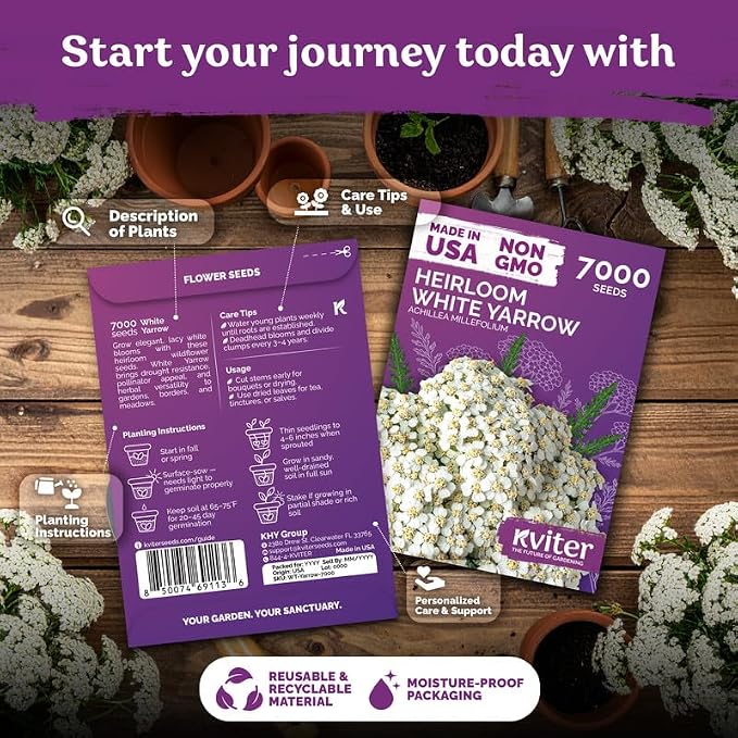 KVITER 7000 White Yarrow Seeds for Planting (Achillea Millefolium) — Perennial Flower Seeds to Plant Outside, Heirloom — Native Wildflower Seed for Herb Garden, Beds, Containers & Meadows