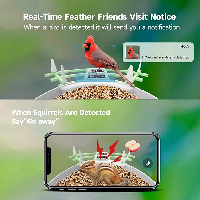 Smart Bird Feeder with Camera Solar Powered,AI Identify Species,2K HD Video Auto Capture Live for Outdoor Backyard,Ideal Gift for Family Bird Lovers (Green)