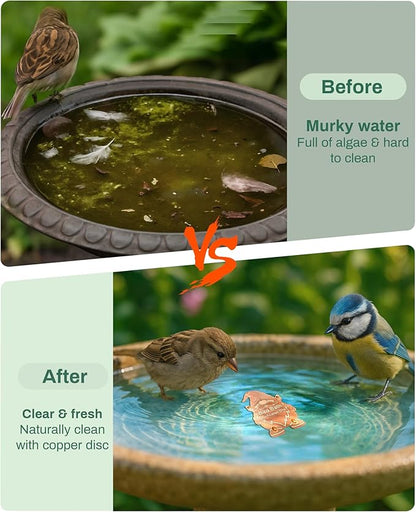 Bird Bath Purification Disk Pure Copper Outside Winter Solar Power Birdbath Backyard Outdoor Wild Cleaner Heater Hummingbird Bee Water Humming Feeder Cage Dispenser Lover Gift Accessories Gnome