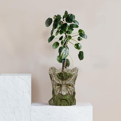 vomiceak Face Planter - Unique Old Man Tree Face Planters for Outdoor Indoor Plants with Drainage Hole, Funny Plant Pots for Succulents - Creative Flower Pots as Gifts for Women and Men (Green Man)