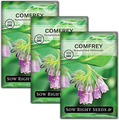 Sow Right Seeds - Comfrey Seeds for Planting - Non-GMO Heirloom - High-Yield Comfrey for Garden, Medicinal Herbs, and Soil Improvement - Outdoor or Indoor Herb Garden - Use for Home Remedies (3)