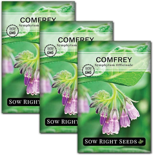 Sow Right Seeds - Comfrey Seeds for Planting - Non-GMO Heirloom - High-Yield Comfrey for Garden, Medicinal Herbs, and Soil Improvement - Outdoor or Indoor Herb Garden - Use for Home Remedies (3)