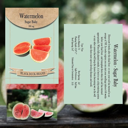 30 Assorted Packages of Vegetable Seeds, 15+ Varieties, All Seeds are Heirloom, 100% Non-GE