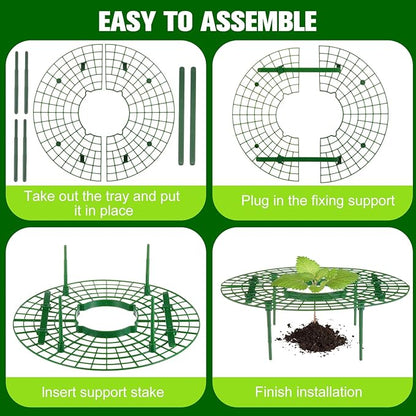 Irenare 24 Pack Strawberry Plant Support with Plant Labels Large Size Strawberry Growing Racks Growing Frame Stand Holder for Keeping Garden Strawberry Clean
