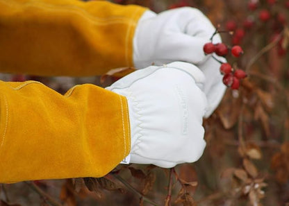 Garden Gloves Thorn Proof Rose Pruning XS Small Medium Large XL XXL 3XL