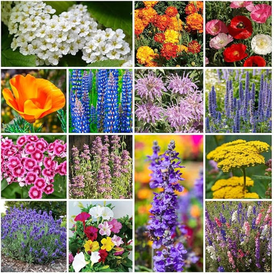Grow Your Own Vibrant Annual and Perennial Wildflower Garden Seed Mixture, Varieties for Pollinators and Spring Gardens - Deer Resistant Mix, 5 lbs