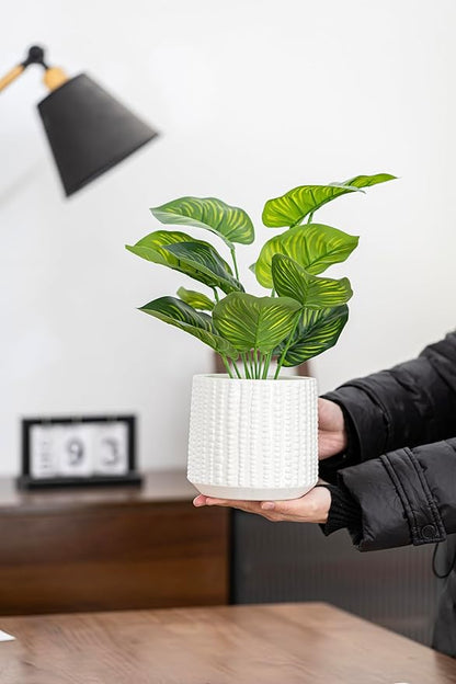 Ceramic Planter Pot with Drainage Hole, 5 Inch Dia, Indoor and Outdoor, Home Patio Garden, Plants Flower Succulent, Textured Round (White)