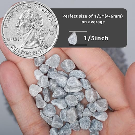 10lbs Natural Gravel Pebbles for Succulents and Cacti, 1/5 Inch Decorative River Stones – Perfect for Vases, Aquariums, Terrariums, and Outdoor Gardening, Mixed Colors (Grey, 10 Pounds)