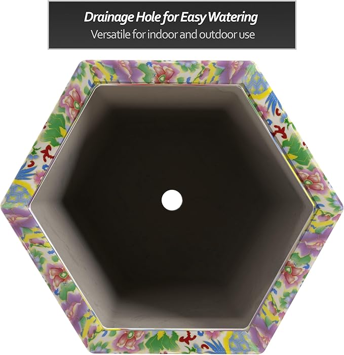 Red Lantern 8" Hexagonal Flower Pot - Satsuma Peacock