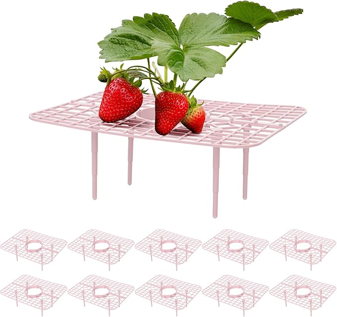 IUIBMI 10 Pack Strawberry Supports Strawberry Holder Strawberry Growing Frame Strawberry Plant Support Strawberry Growing Racks Strawberry Plant Protectors Stand with 4 Sturdy Legs for Garden