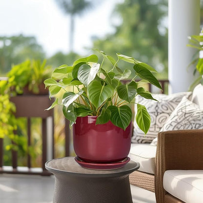 Ceramic Flower Pot for Plants - Cylinder Modern 8 Inch Plant Pot Indoor with Drainage Hole and Saucer, Home Office Room Porch Decor, Red