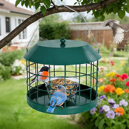 Gbekery Caged Bluebird Feeder for Mealworms with Glass Bowl, Squirrel Proof Bird Feeder for Small Birds Only, Detachable Hook, Large Space, Outdoors Weatherproof, Metal, Green