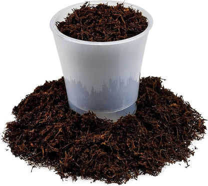 Premium New Zealand Tree Fern by GARDENERA - Orchid and Epiphytal Plants Growing Medium and Reptile Substrate - 1 Quart Bag