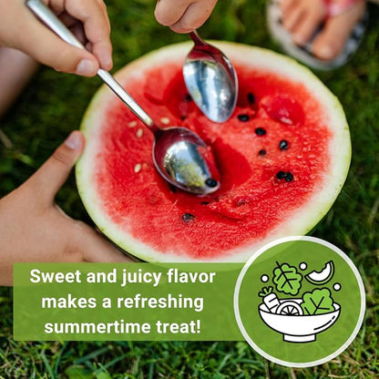 Sow Right Seeds - Crimson Sweet Watermelon Seeds for Planting - Non-GMO Heirloom Packet with Instructions to Plant a Home Vegetable Garden - Large Red Melon with Sweet Flesh - Summer Variety (2)