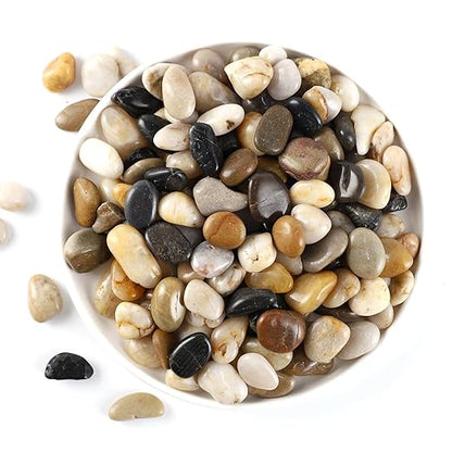 11LB Polished River Rocks for Plants with Mixed Colors 1/4-5/8Inch Decorative Natural River Stones Pebbles for Outdoor Small Stones Gravels for Home Decoration