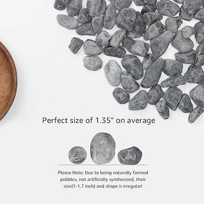 LOIOOJ Black Natural River Rocks, 1-1.7 Inch Decorative Stones for Plants, Garden, and Landscaping – 10LB, Ideal for Walkways, Vases, Crafting, Home Decor, and Outdoor Landscaping