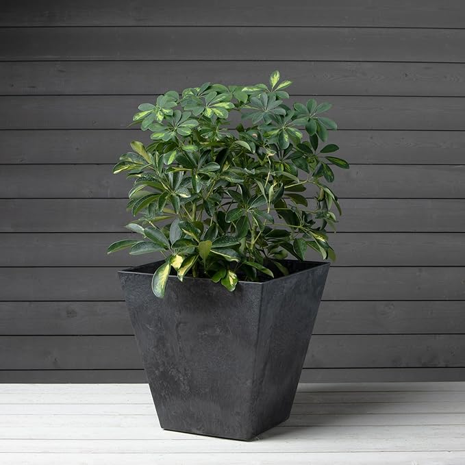 Root & Vessel, Black, 35168 Ella Square Planter, Black, 16-Inch