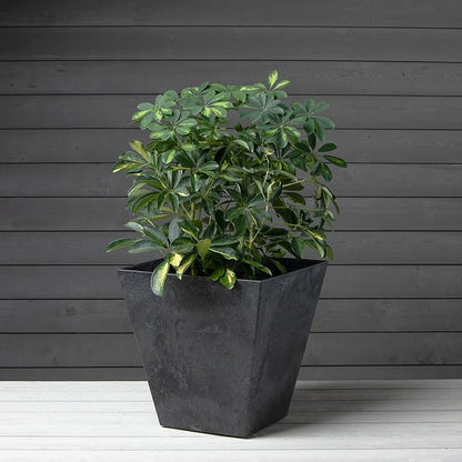 Root & Vessel, Black, 35168 Ella Square Planter, Black, 16-Inch