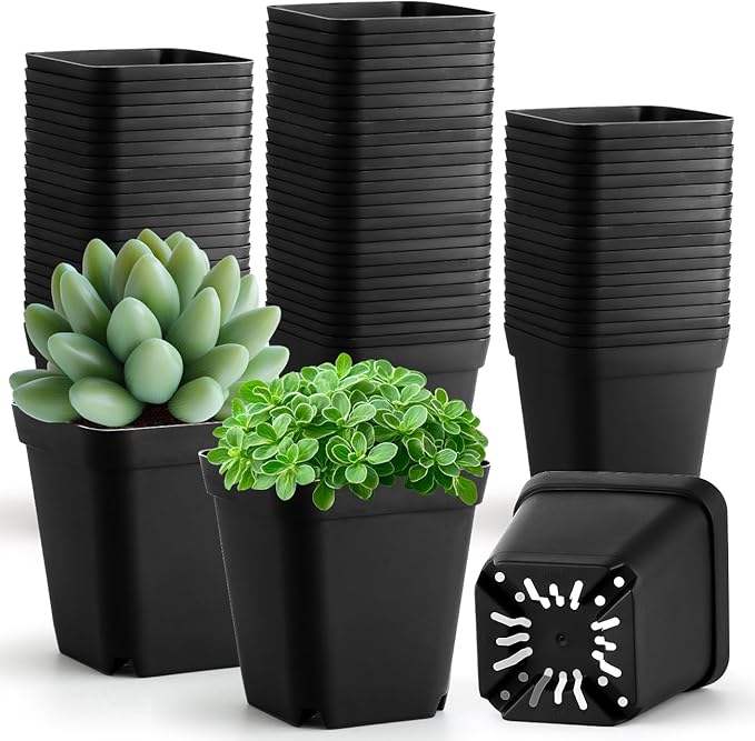 100 Pack Plant Nursery Pots 3.15 Inch, Durable Square Seedling Pots with Drainage Holes, Reusable Small Plastic Flower Pots for Seed Starting, Transplanting, Herb Garden