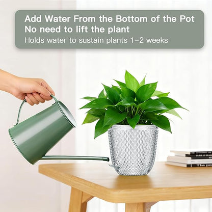 QCQHDU 2 Pack Self Watering Pots, 5.7 Inch Flower Pots with Drainage Holes and Water Filling Port, Plastic Garden Planter for Indoor Outdoor Plants (Clear)