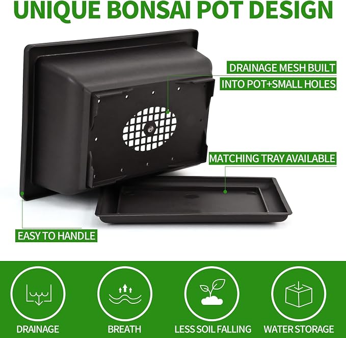 Bonsai Tree Kit with Complete Growing Tools, Grow in Pot Indoor Bonsai Tree Starter Kit, Great Home Gardening DIY Gift for Adult