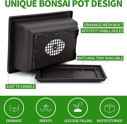 Bonsai Tree Kit with Complete Growing Tools, Grow in Pot Indoor Bonsai Tree Starter Kit, Great Home Gardening DIY Gift for Adult