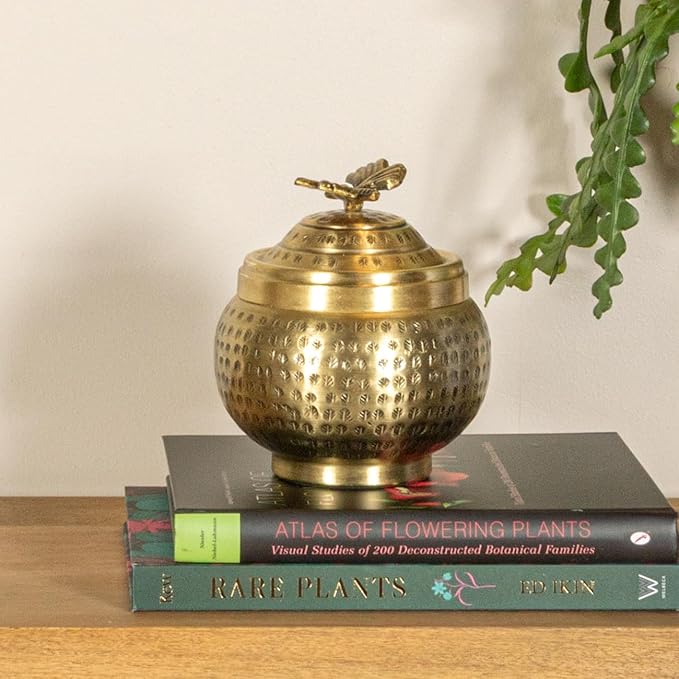 Creative Co-Op Round Hammered Metal Container with Butterfly Finial, Brass Finish