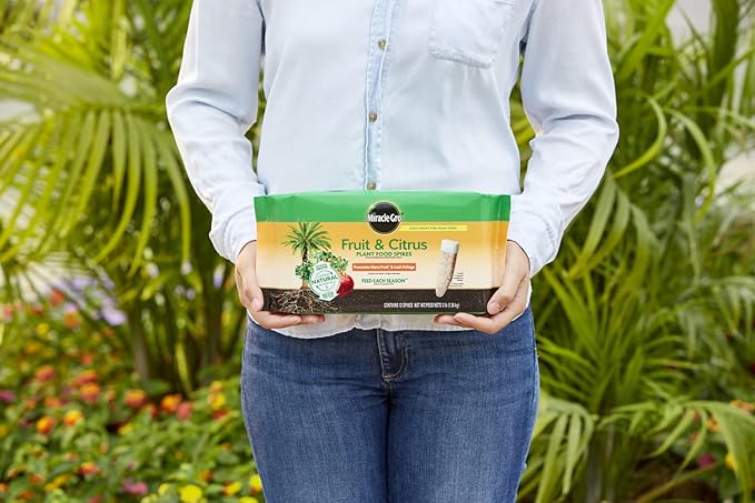 Miracle-GRO Fruit & Citrus Plant Food Spikes, 12 Spikes (2-Pack)
