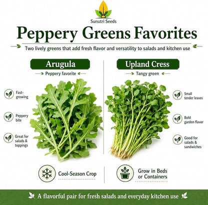 Salad Greens Variety Pack Seeds – 9 Heirloom Leafy Green Vegetable Seeds | Lettuce Kale Spinach Arugula Collards Beet Greens Mustard Cress for Raised Beds Containers Garden