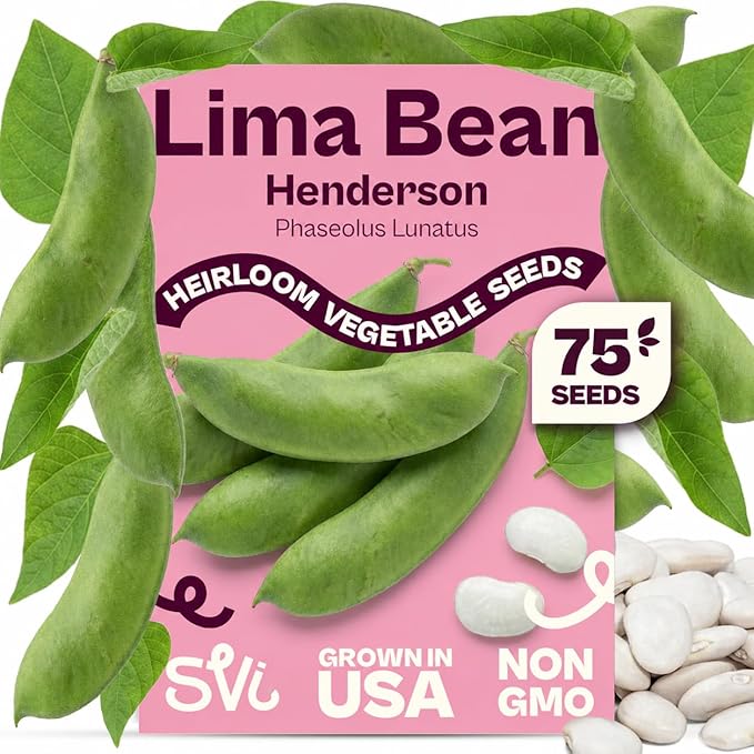 SVI 75 Henderson Lima Bean Seeds (Phaseolus lunatus) – Bush Baby Lima Beans Seed Packets, Green Beans – Heirloom Vegetable Seeds for Outdoor Home Garden, Containers