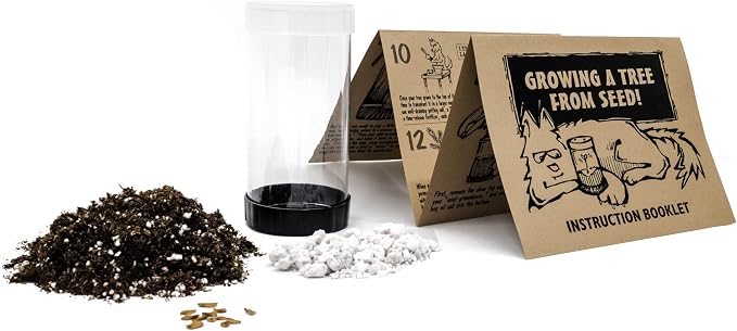 Giant Sequoia | Tree Seed Grow Kit | The Jonsteen Company