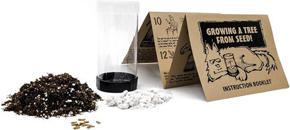 Giant Sequoia | Tree Seed Grow Kit | The Jonsteen Company