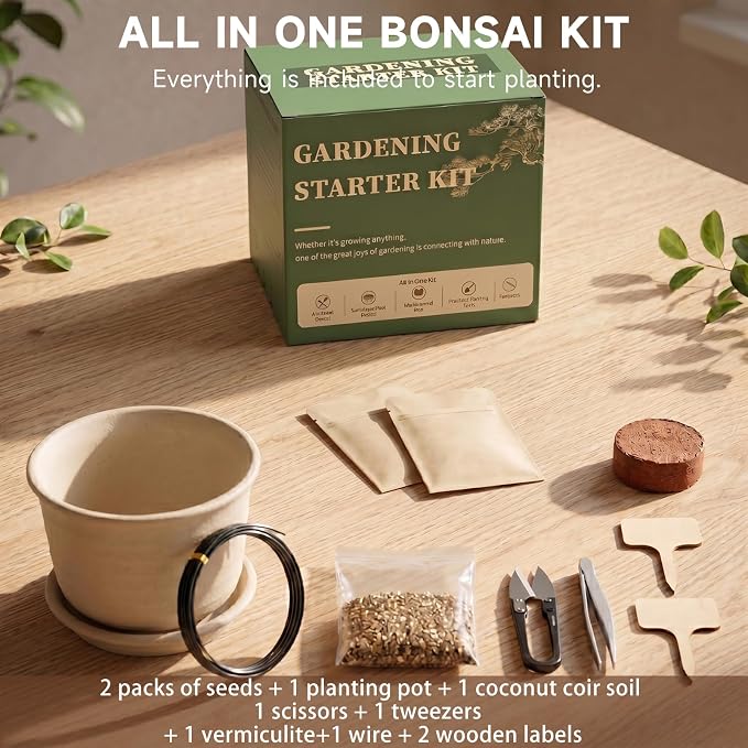 Bonsai Tree Starter Kit, Jacaranda Bonzai Kit, Indoor Bonsai Trees Plant Seeds with Drainage Design Pots, Gardening Gifts for Women, High-Value Plant Gifts